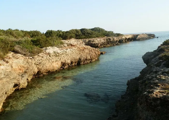 Il Fico D'india Dell'antico Orto Ostuni