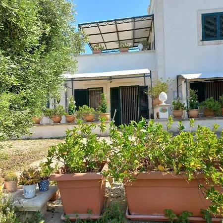Il Fico D'india Dell'antico Orto Ostuni