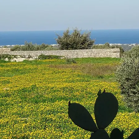 Il Fico D'india Dell'antico Orto Holiday home Ostuni