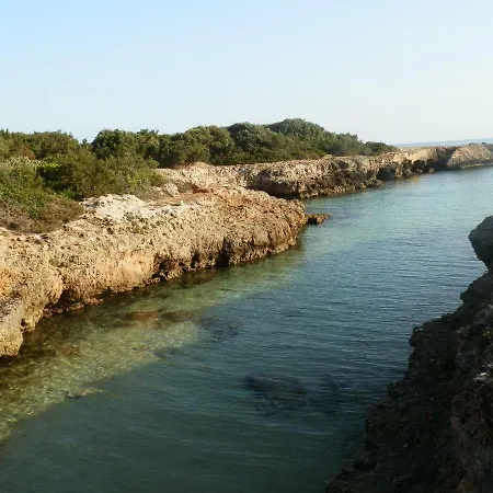 Il Fico D'india Dell'antico Orto Ostuni